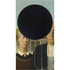 Grant Wood American Gothic Xbox Series S Skins
